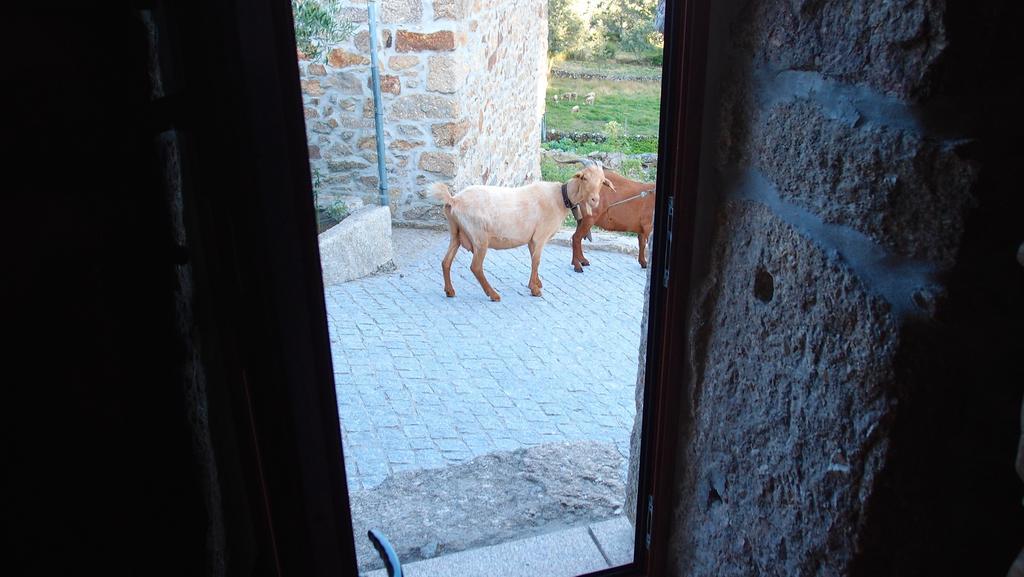 Aldeia Do Codecal Affittacamere Codecal  Camera foto